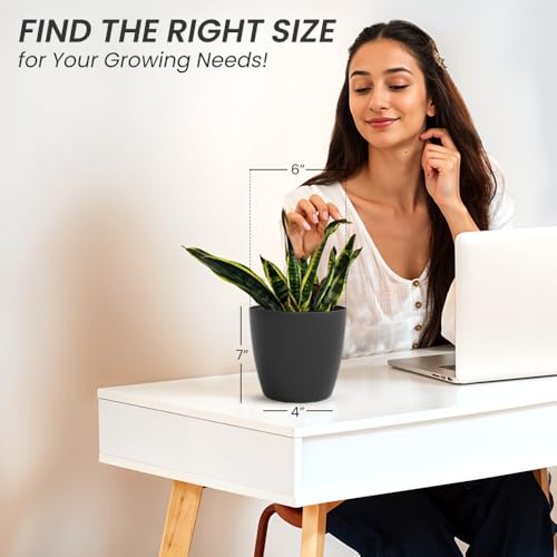 Image of YUCCABE ITALIA SHERA Stella 6 Inch Plastic Plant Pot for Home Decor Indoor Plant Pots for Living Room Plastic Flower Pot for Garden (Grey, 6 INCH - 2 Pcs)
