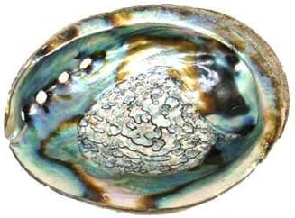 AzureGreen ibaba4Abalone Shell quemador de incienso, 45en.