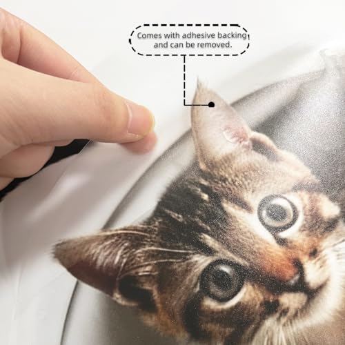 Wandsticker4u®- Aufkleber für Toilettendeckel KATZE 3D lustig I Witzige Katze WC Aufkleber Badezimmer Dekoration wasserfest I Gäste WC Deko Klodeckel Aufkleber Wandtattoo