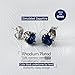Blue Earrings Hypoallergenic Retro Black Crown Stud Earrings for Women Mens Gift Jewelry