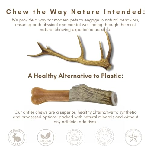 WhiteTail Naturals - Bulk Deer Antlers for Dogs (1 Pound Pack) Antler Chews - Naturally Shed, Long Lasting Dog Bones for Aggressive Chewers. - Thumbnail 7