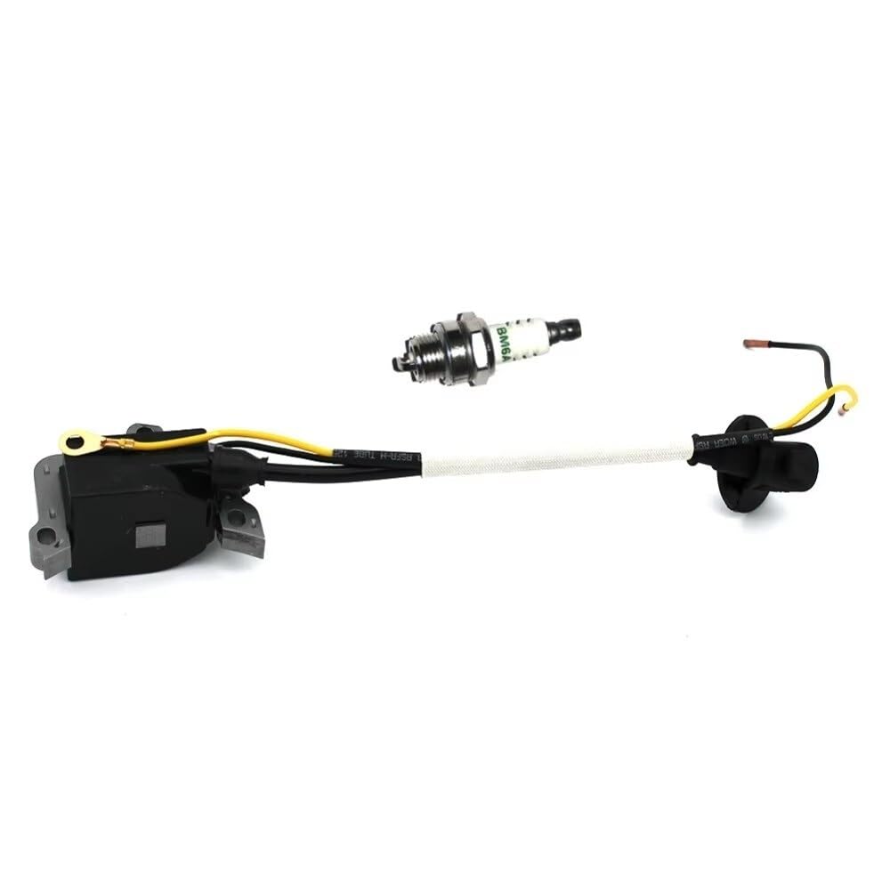 Module de bobine d'allumage pour couper votre bois de chauffage