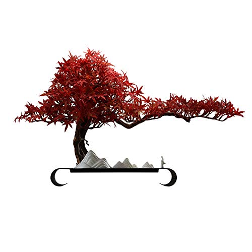 Plantes d'intérieur feng shui pour entrée et salon chaleureux