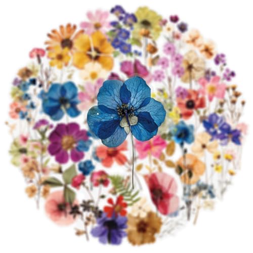 Image of 50PCS Transparent Flora Scrapbook Stickers, Vintage Aesthetic Flowers Sticker for Scrapbooks Travel Journal, Vinyl Waterproof for Water Bottles Laptop Phone Scrapbook Supplies DIY Crafts (Flower-B)