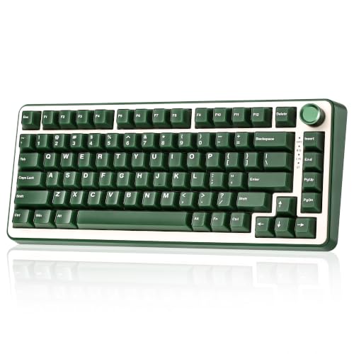 YUNZII B75 PRO 75% �K�X�P�b�g�Q�[�~���O�L�[�{�[�h �������J�j�J���L�[�{�[�h BT/2.4G/�L�� ���C�����X �z�b�g�X���b�v ���� RGB �m�u�t���J�X�^���L�[�{�[�h Mac/Win�p �Z�K�F�؎擾 (�I���[�u�O���[��, �~���NV2�X�C