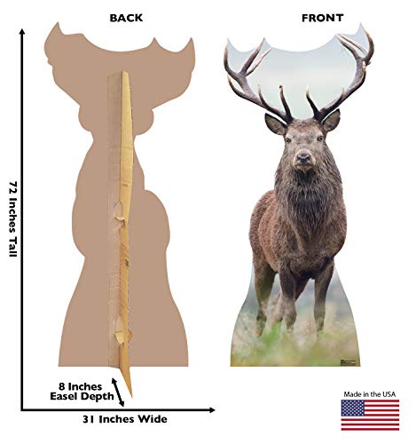 Image of Cardboard People Deer Life Size Cardboard Cutout Standup