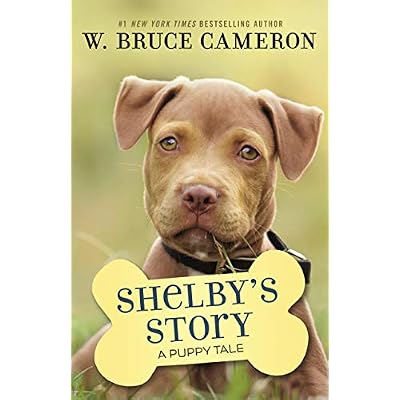 Shelby's Story