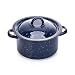 IMUSA 4-Quart Enamel Stock Pot, Blue