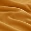 Ochre