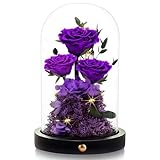 Agrul Mothers Day Flowers Roses Gifts for Mom,Forever Preserved Flower Rose in Glass Dome Fresh Flowers for Delivery Mothers Day Roses Gifts for Wife Women Mom Grandma from Daughter/Purple Rose