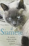 gatti siamesi in vendita catania  Il siamese. Il gatto dagli occhi di giada