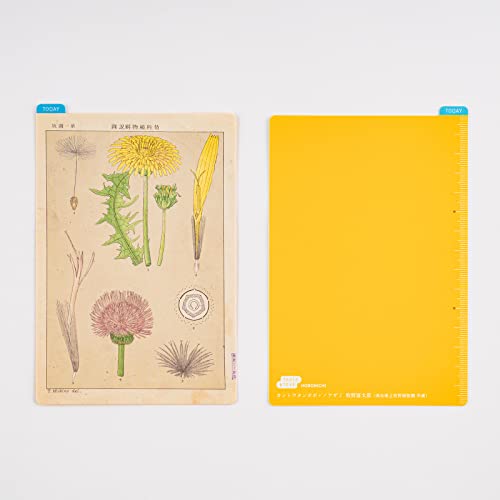 Hobonichi Techo Accessories Tomitaro Makino: Hobonichi Pencil Board for A6 Size (Tomitaro Makino) - Thumbnail 3