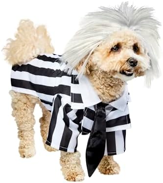 Beetlejuice: Beetlejuice Pet Costume for For Dogs or Cats by Rubi...
