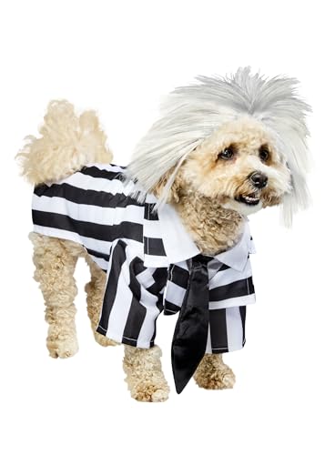 Beetlejuice: Beetlejuice Pet Costume for For Dogs or Cats by Rubi...