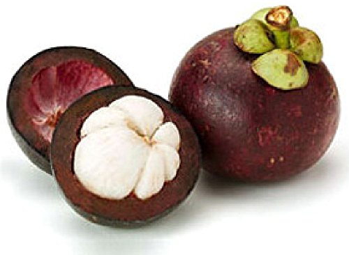 Xango Juice (Double case/8 botttles) Mangosteen - Thumbnail 2