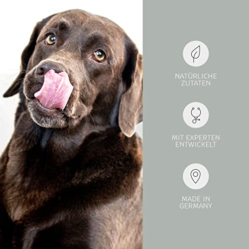 Hundeleckerlies Mammaly Hunde Snack Set für verschiedene Geschmäcker