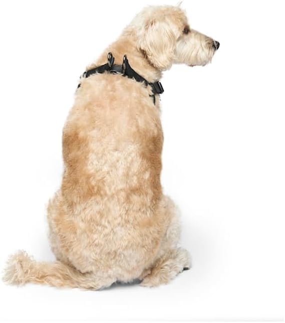 Canada Pooch Easy-On Step-in Dog Harness Black Small