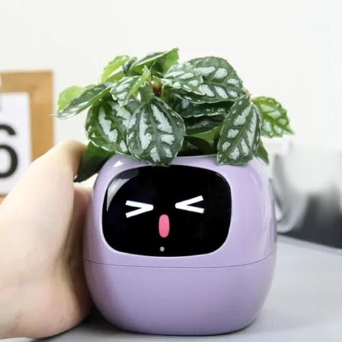 Pot de fleurs intelligent violet : la solution anti-arrosage excessif avec écran - 5
