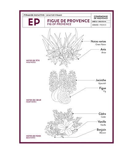 Compagnie De Provence Savon De Marseille Extra Pure Liquid Soap - Fig Of Provence - 16.7 Fl Oz Glass Pump Bottle #TOP4