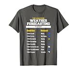 The Amazing Funny Meteorology Meteorologist Weather Forecast T-Shirt, Men, Asphalt Grey, Small