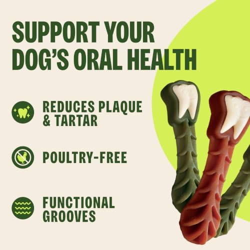 Wellness WHIMZEES Value Pack Natural Dog Dental Treat, Chews, Freshens Breath, Small Size, 47.1 oz Box, 89 Count - 4