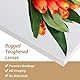 Vasemouh 140 x 51 cm Hochwertiger Standspiegel mit Weißem PVC-Rahmen und Gehärtetem Glas, Ideal für Schlafzimmer, Wohnbereich, Flur oder Badezimmer