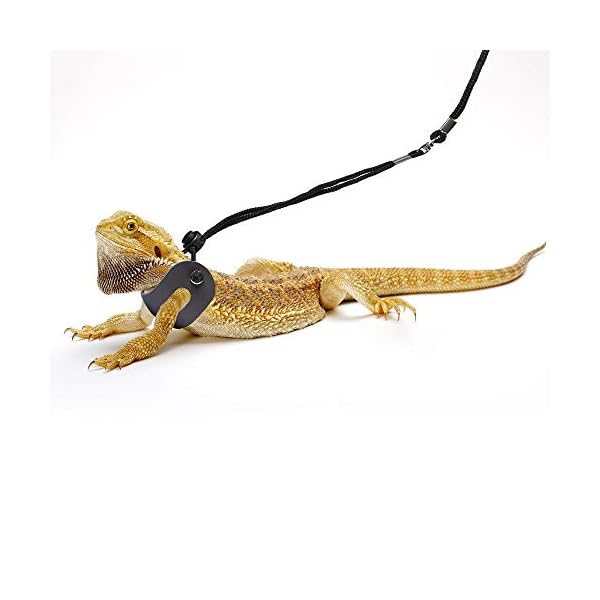 Polkastore bearded dragon harness and leash adjustable(s,m,l, 3 pack) - soft leather reptile lizard leash for amphibians and other small pet animals - image 8