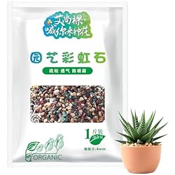 Maceteros Jardin Piedra SHRIGM Piedras para maceteros de Cactus | Piedras científicas y Decorativas para Plantas en macetas Equilibrio de nutrientes,Piedras Decorativas al Aire Libre para Plantas en macetas, acuarios