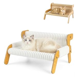Erhöhtes Katzenbett für Große Katzen und Kätzchen, Katzensofa mit Abnehmbarem Waschbar Plüschdecke und Ersatzpads aus Sisal, Katzenmöbel zum Schlafen für Alle Katze, All Season Universal, 54x44cm