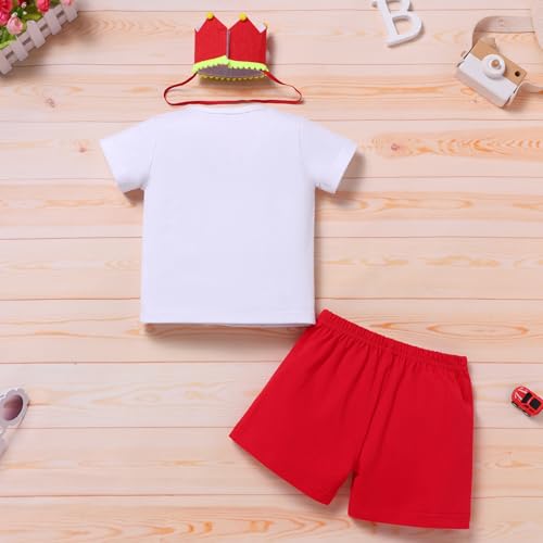 IBTOM CASTLE Baby Boys 1st Birthday Outfit Jungle Safari & Space & Farm Top Shirt Shorts Crown 3PCS Cake Smash Clothes Set3