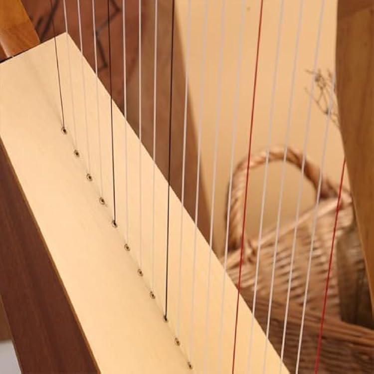 Celtic Irish Harp, 19 String Mahogany Lever Harp with Tuning Wrench and Black Gig Bag, Celtic Irish Style Lyre Harp for Adult Kids Beginner