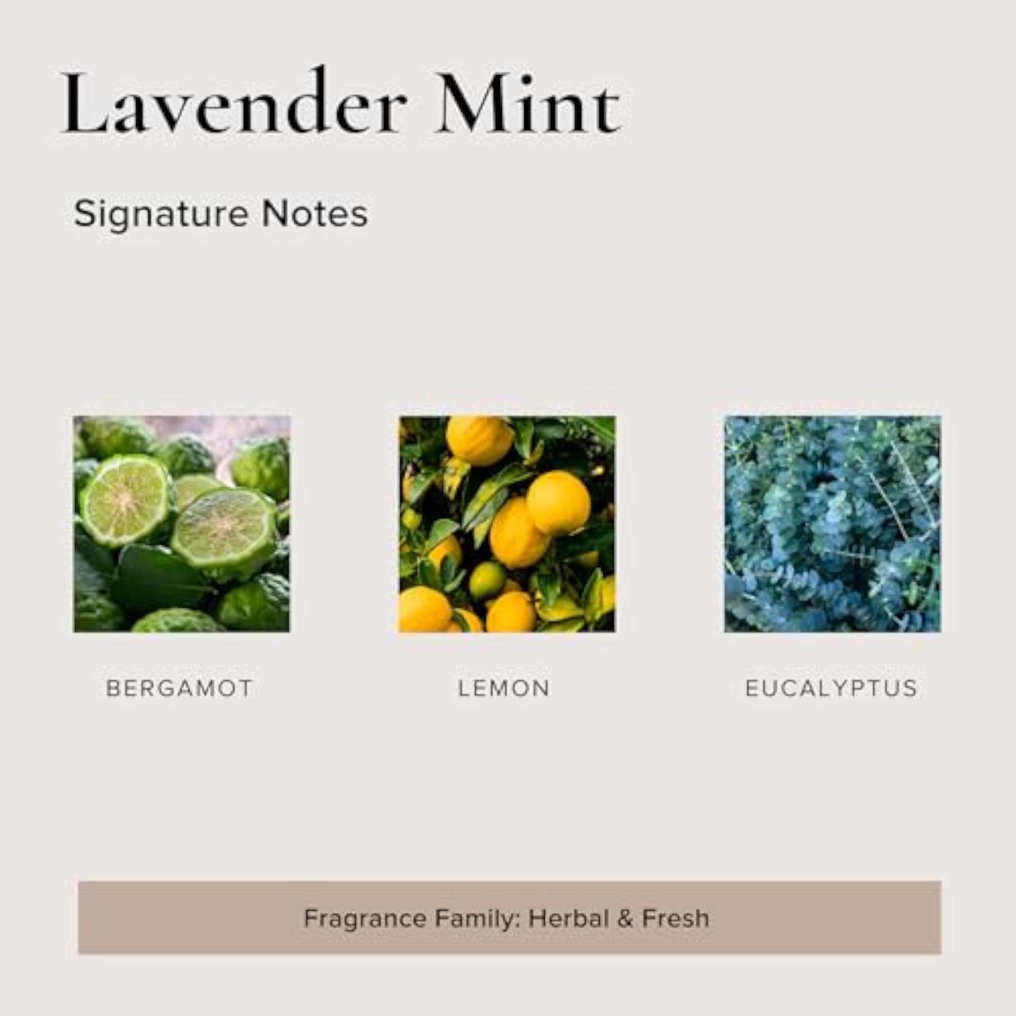Candle Soy Lavender Mint 9 Ounce