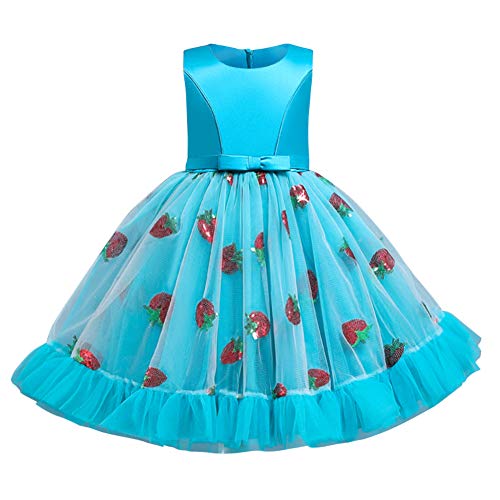 Flower Girls Sleeveless Floral Lace Shiny Strawberry Embroidery Princess Ruffles Tulle Communion Birthday Party Pageant Baptism Wedding Formal Dance Evening Short Gown Blue 5-6X