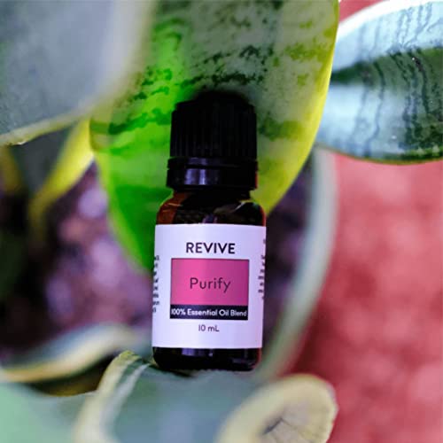Purify Essential Oil Blend by Revive Essential Oils - REVIVEEO - 100% Pure Therapeutic Grade, for Diffuser, Humidifier, Massage, Aromatherapy, Skin & Hair Care - Image 4