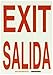 Brady 90748 14" Height, 10" Width, B-347 Plastic Red On Green Color Glow-In-The-Dark Safety Sign, Legend "Exit/Salida"