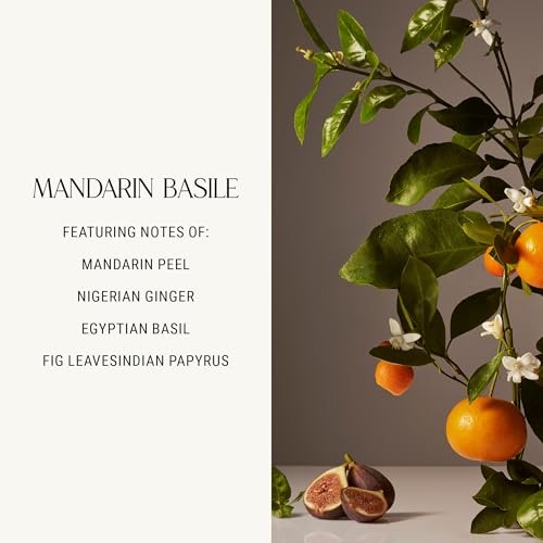Image of Homecourt by Courteney Cox Room Deodorant, Mandarin Basile, 3.4 oz | Natural Room Spray, Fine Fragrance of Basil & Ripe Fig, For Kitchen, Bathroom & more, Clean Formula