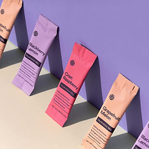 Basis Hydration Low Sugar Powder Packets, Electrolyte Mix, Keto-Friendly, Pregnancy Dehydration Relief - For Workout Travel Sports (Variety Pack, 15 Sticks) #TOP5