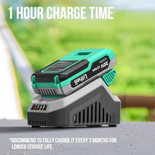 Litheli Cordless Drill Set, 20V Max Power Drill Cordless Set, 3/8” Keyless Chuck, 18+1 Torque Settings, Variable Speed, w/ 2.0 Ah Battery and 1 Hour Fast Charger Included by LiTHELi - Image 7