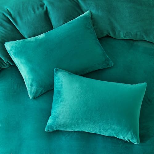 Image of WARMDERN Teal Blue Velvet Duvet Cover Set Oversized King Size, Luxury Milk Velvet Bedding Duvet Cover with Zipper Closure, 3pcs Ultra Soft Duvet Covers for All Seasons, 120 inch x 98 inch, Teal Blue