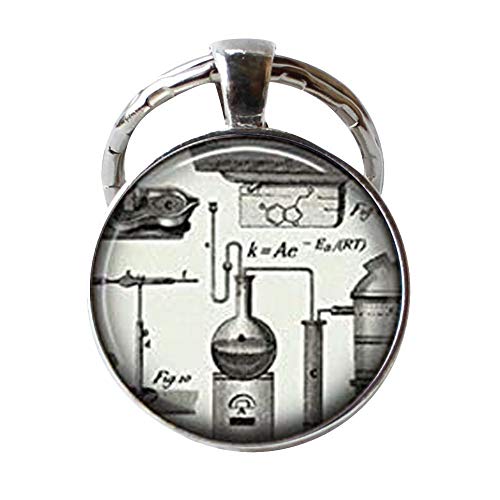 Steampunk chimica, scienza Geek nerd portachiavi a forma di portachiavi, chimica, scienza, Chemistry Teacher Gift, Student Gift Keychain