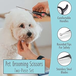 Dog grooming scissors 2 pack pet scissors cuts facial hair and body fur stainless steel with safety rounded tips for a painless smooth and clean cut safe dog clippers for grooming   cucciolini doodles
