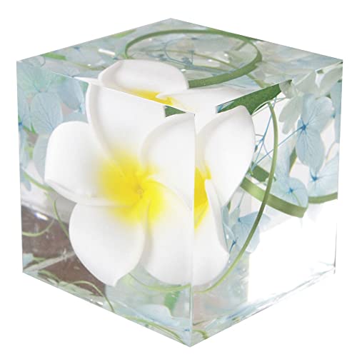 rk NX^n[oE vA1 a   nCA IuWF A[eBtBVt[