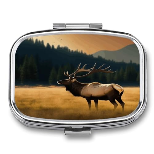 YHEGBFD XNGAs{bNXAGNCUhEfBVsP[XA2Rp[ggs{bNXAz|Pbgp̃|[^usI[KiCU[