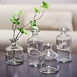 WDHODEC Glass Bud Vases Set of 4, Small Clear Vases for Flowers, Mini Glass Vase Assorted for Rustic