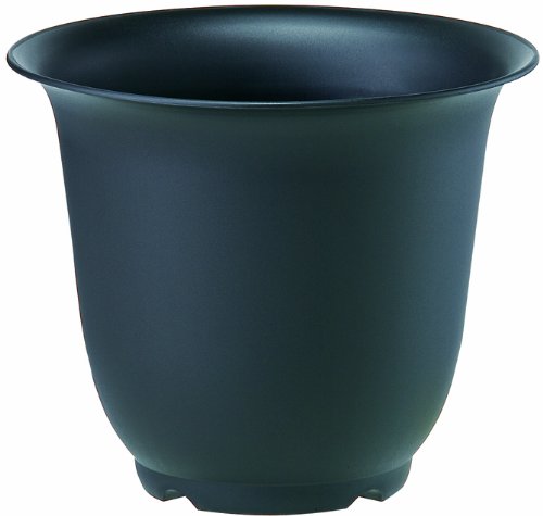 avX`bN E|bg mA|bg 7 210×H175 ubN