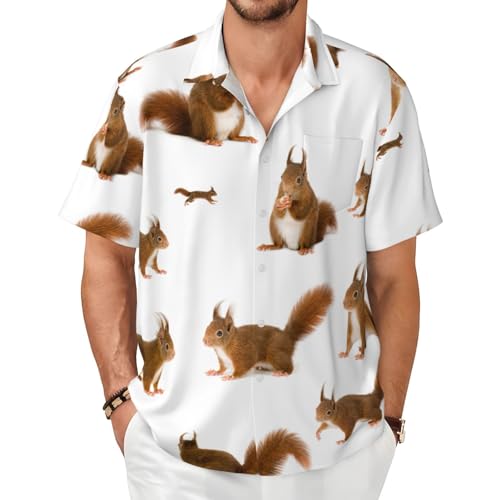 Chemise écureuil homme : fini la chaleur avec ce vêtement d'été doux