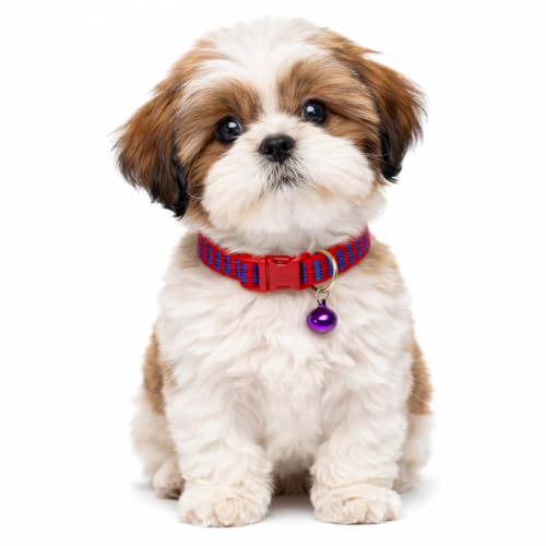 Image of Emily Pets Cat Collar with Bell, Solid & Safe Collars for Cats, Nylon, Mixed Colors, Pet Collar, Breakaway Cat Collar, Free Replacement (Multi Color, 1 Piece)
