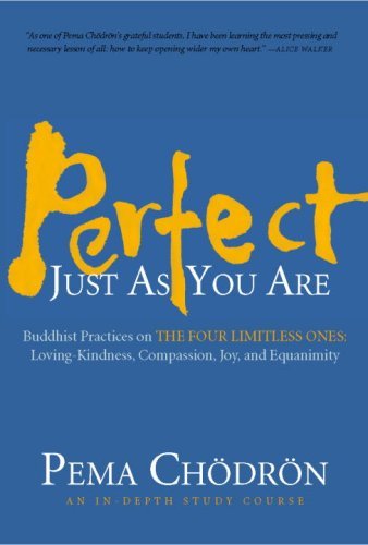 Perfect Just as You Are: Buddhist Practices on the Four