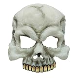 Glow In The Dark Skull Half Face Mask