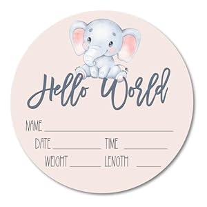Birth Stat Acrylic Sign for Newborn...